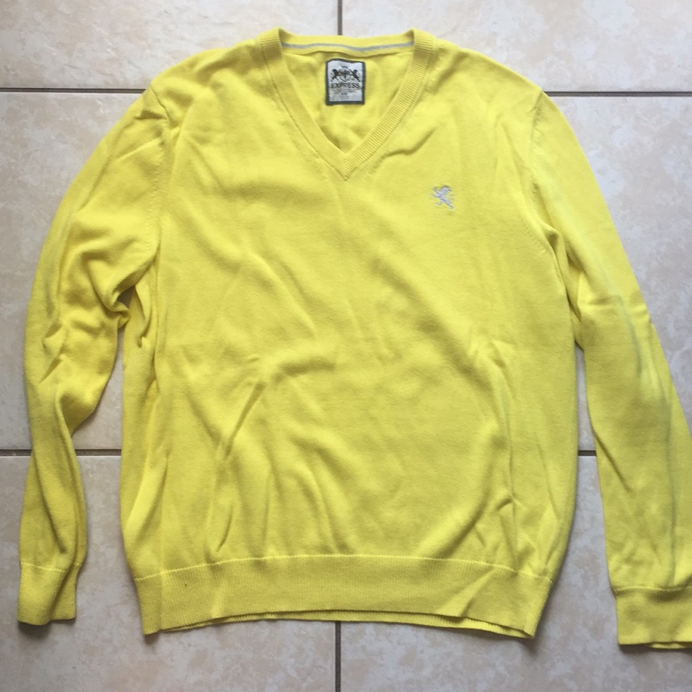 Express V Neck Sweater